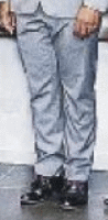 director's pants