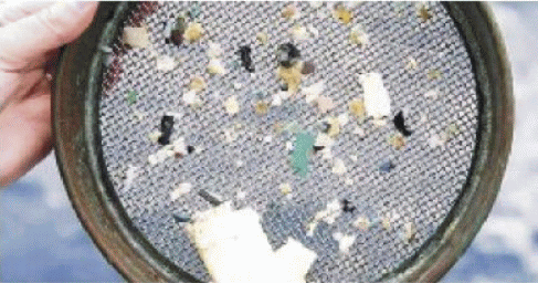 microplastics sieve