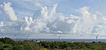 Windmill on coast